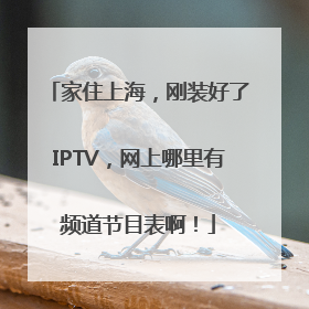 家住上海，刚装好了IPTV，网上哪里有频道节目表啊！