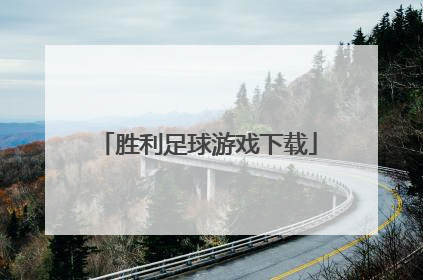 「胜利足球游戏下载」胜利足球游戏下载中文版