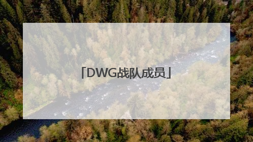 「DWG战队成员」s11dwg战队成员